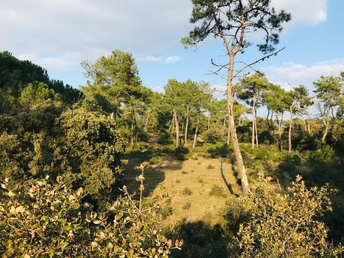 Le Ros Eden Lejlighed Saint-Hilaire-de-Riez Eksteriør billede